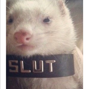 Meet your Posher, Faith